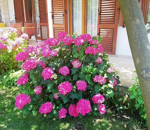 Hella Apartament Trogir