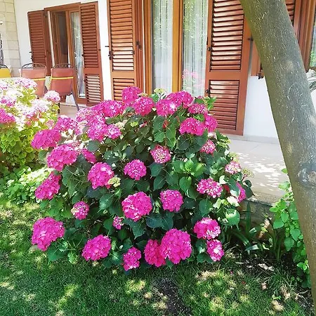 Hella Апартаменти Трогір