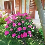 Hella Appartement Trogir